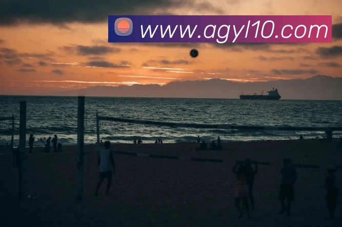 体育赛事直播